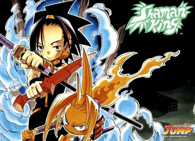 Король Шаманов / Shaman King - Страница 8 - Аниме - обсуждение - BioWare  Russian Community