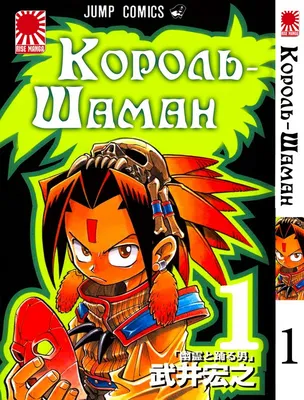 Кружка Да ладно?! "Шаман Кинг Король Шаманов Shaman King_6", 330 мл, 1 шт -  купить по доступным ценам в интернет-магазине OZON (331951412)