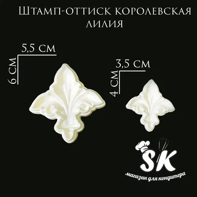 Брошь-кулон Королевская лилия( Fleur de Lis фр.). США. 80-90е гг.(18С025) -  «VIOLITY»