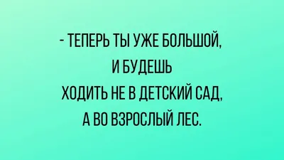 Лучшие короткие анекдоты: более 50 шуток на разные темы