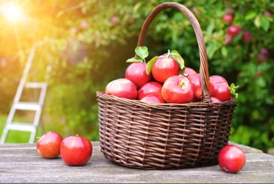 Купить фруктовую корзину с виноградом и яблоками в Екатеринбурге