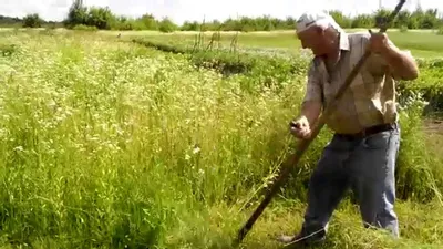 Как косить косой долго не уставая, получая удовольствие? Забытые секреты. |  Дома - хозяин | Дзен