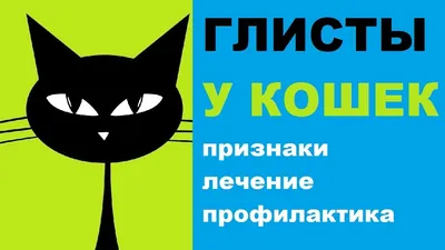 Средство от внутренних и внешних паразитов Apicenna Празицид-комплекс, для  котят и кошек - купить с доставкой по выгодным ценам в интернет-магазине  OZON (1200541685)