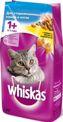 Сухой корм для кошек Whiskas Аппетитное Ассорти с курицей и индейкой  подушечки с нежным паштетом, 1,9 кг - купить с доставкой в Ростове-на-Дону  - STORUM