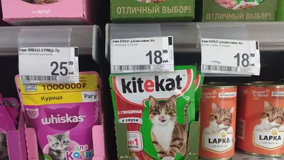 Kitekat кошачий корм с Говядиной в желе 85гр | Доставка мыломойки  Усть-Каменогорск. интернет магазин бытовой химии и мыло-моющих средств в  Усть-Каменогорске. Мыломойка Усть-Каменогорск