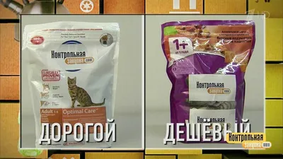 ТОП-10 лучших кормов для кошек - Зоомагазин MasterZoo