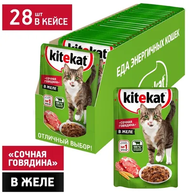 Корм сухой для кошек "Вискас" Whiskas, лакомые кусочки с говядиной, кошачий  корм 3 пачки по 350 гр - купить с доставкой по выгодным ценам в  интернет-магазине OZON (736074263)