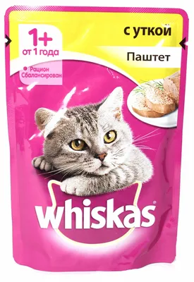 Royal Canin Fit 32 - Сухой корм для кошек с нормальной активностью купить в  зоомагазине «PetXP»