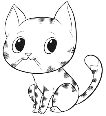 Рисунок кошки карандашом для срисовки - 87 фото