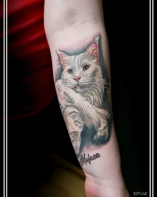 Татуировка Кошки, Пантеры | Татуировка Солнечногорск | 89919382822 |  - Tattoo Татуировка в Солнечногорске +7 (991) 938-28-22