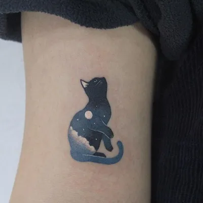 Тату кошка | Black cat tattoos, Cat tattoo designs, Cute cat tattoo