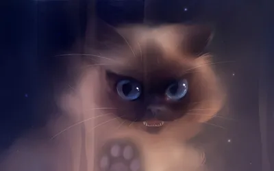 Дикие кошки! Самые необычные и красивые кошачьи - Телеканал «О!»