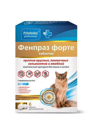 Winner Pro Meat сухой корм с куриной грудкой для беременных кошек и котят  от 1-4 мес. пакет, 400 г купить по низкой цене с доставкой - БиоСтайл