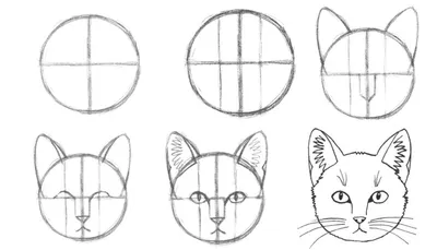 Рисунки котиков карандашом - 55 фото