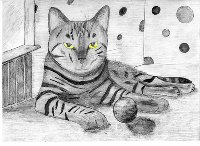 Рисунки котов и кошек для срисовки (81 фото)