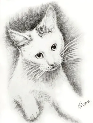 Кот баюн рисунок карандашом. Скачать и распечатать