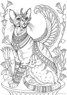 Рисунки художника Paul Lung простым карандашом на кошачью тему | Берегите  природу | Фотострана | Пост №253755960