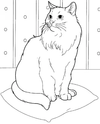 Простой рисунок кошка (22 фото) » Рисунки для срисовки и не только