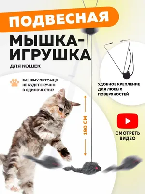 Корм для кошек, Royal Canin Renal RF23 Feline, при хронической почечной  недостаточности купить с доставкой в интернет-магазине зоогастроном.ру