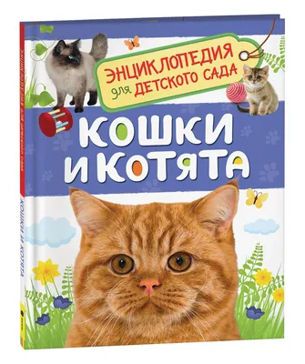 Семья Кошек - Мама Кошка с котятами: 3 000 грн. - Мягкие животные  Переяслав-Хмельницкий на Olx