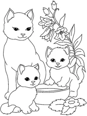 Моя первая книга о кошках и котятах. Детская энциклопедия Владис 10924251  купить за 50 400 сум в интернет-магазине Wildberries