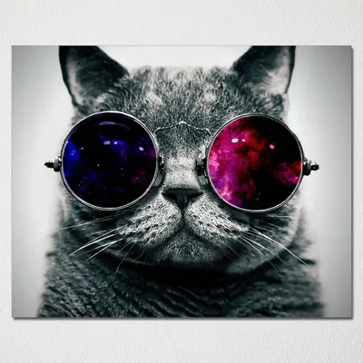Идеи на тему «Кот в очках» (21) | кот, галактический кот, кошки