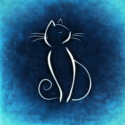 Самые милые нарисованные котики | Cute cat illustration, Cat drawing, Cat  art