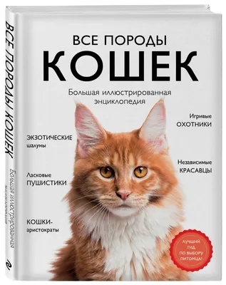 Короткошерстные породы кошек: фото и названия | WHISKAS®