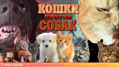 Трейлер фильма "Кошки против собак: Месть Китти Галор"