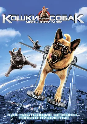 Кошки против собак: Месть Китти Галор (2010) (DVD-R) - купить с доставкой  по выгодным ценам в интернет-магазине OZON (1206381655)