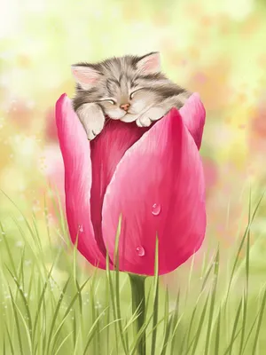 Кошка весенние цветы и трава Стоковое Фото - изображение насчитывающей  трава, изношено: 157261488