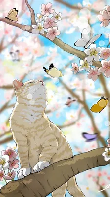 Весна в жизни кошек.