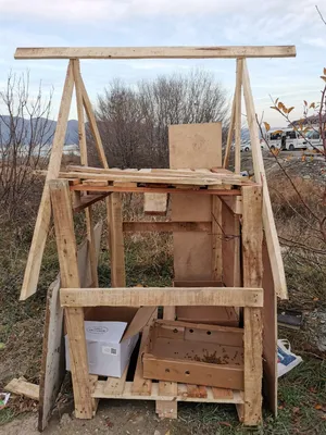Неравнодушные новороссийцы строят кошкин дом неподалеку от пляжа Алексино –  Новости Новороссийска