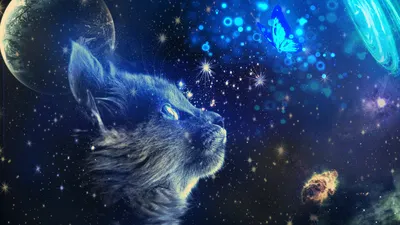 космос #кот #рисунок | Galaxy painting, Cute drawings, Cat art