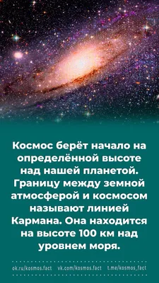 Островский, вы космос!»: подводим итоги марафона — Новости — Российская  государственная библиотека для молодежи