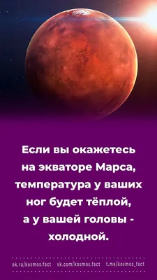 Ленинградские школьники примут участие во всероссийской акции «Космический  диктант».