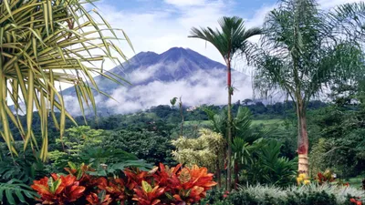 Коста Рика (kosta-rika) - курорты, туры и отдых в Коста Рике!