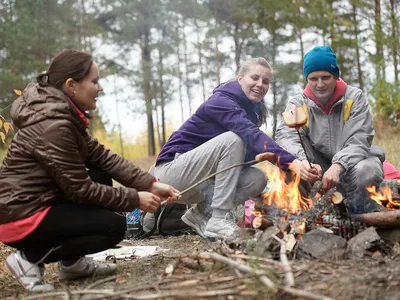 Звуки природы Костер в лесу Потрескивание костра Пение птиц Sounds of  nature Bonfire in the forest - YouTube