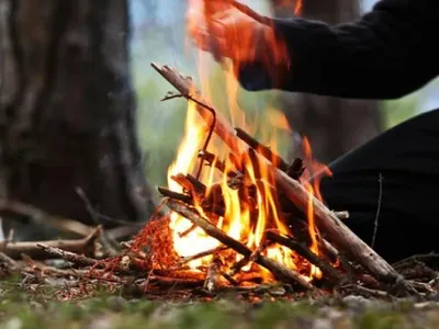 5 способов разжечь костер без спичек в лесу: как быстро добыть огонь -  Чемпионат