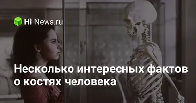 пластическая анатомия кости человека: 13 тыс изображений найдено в  Яндекс.Картинках | Skeleton drawings, Anatomy art, Human anatomy art