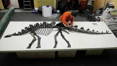 Кости динозавров 
