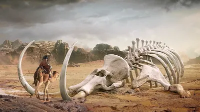 Иркутские ученые обнаружили в Бурятии кость динозавра