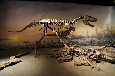 7 шт., Детский конструктор «кости динозавров» | AliExpress
