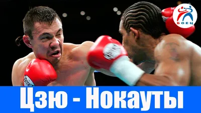 Сын Кости Цзю без боя получил титул чемпиона WBO | Бокс и ММА