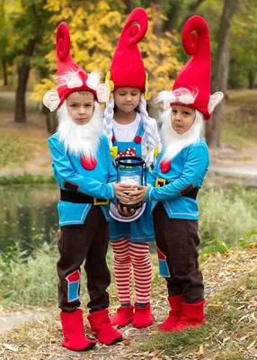 Костюм Гнома, 130217, размеры 3-4 года, 5-6 лет, 7-8 лет, 9-10 лет |  Сравнить цены на 