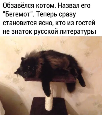 Кот Бегемот — ВеснаАрт