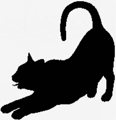 картинки : черное и белое, Кот, Млекопитающее, Темнота, черная кошка,  Черный, монохромный, Крупным планом, нос, Бакенбарды, Китти, Глаз,  Позвоночный, Орган, Черно-белый кот, Домашняя кошка, Монохромная  фотография, От маленьких до средних кошек, Кошка
