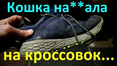 РЕСТАВРАЦИЯ, ПОКРАСКА #guccicats 🤔Ваши любимые кеды утратили  первоначальный лоск, поблекли? 😃 Несите их к нам! ☝Профессиональная чистка  обуви и реставрация – это труд не из лёгких, но нам всё по плечу. Вы