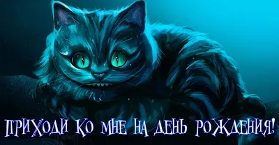 У любимого кота День Рождения!) | Пикабу