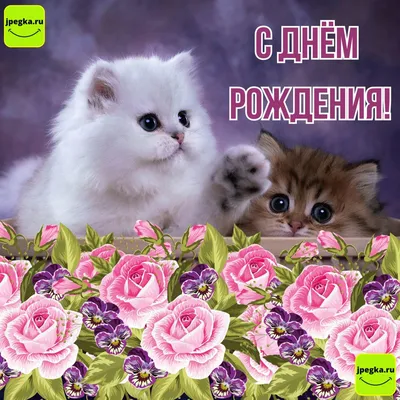 Мультик «День рождения кота Леопольда» – детские мультфильмы на канале  Карусель